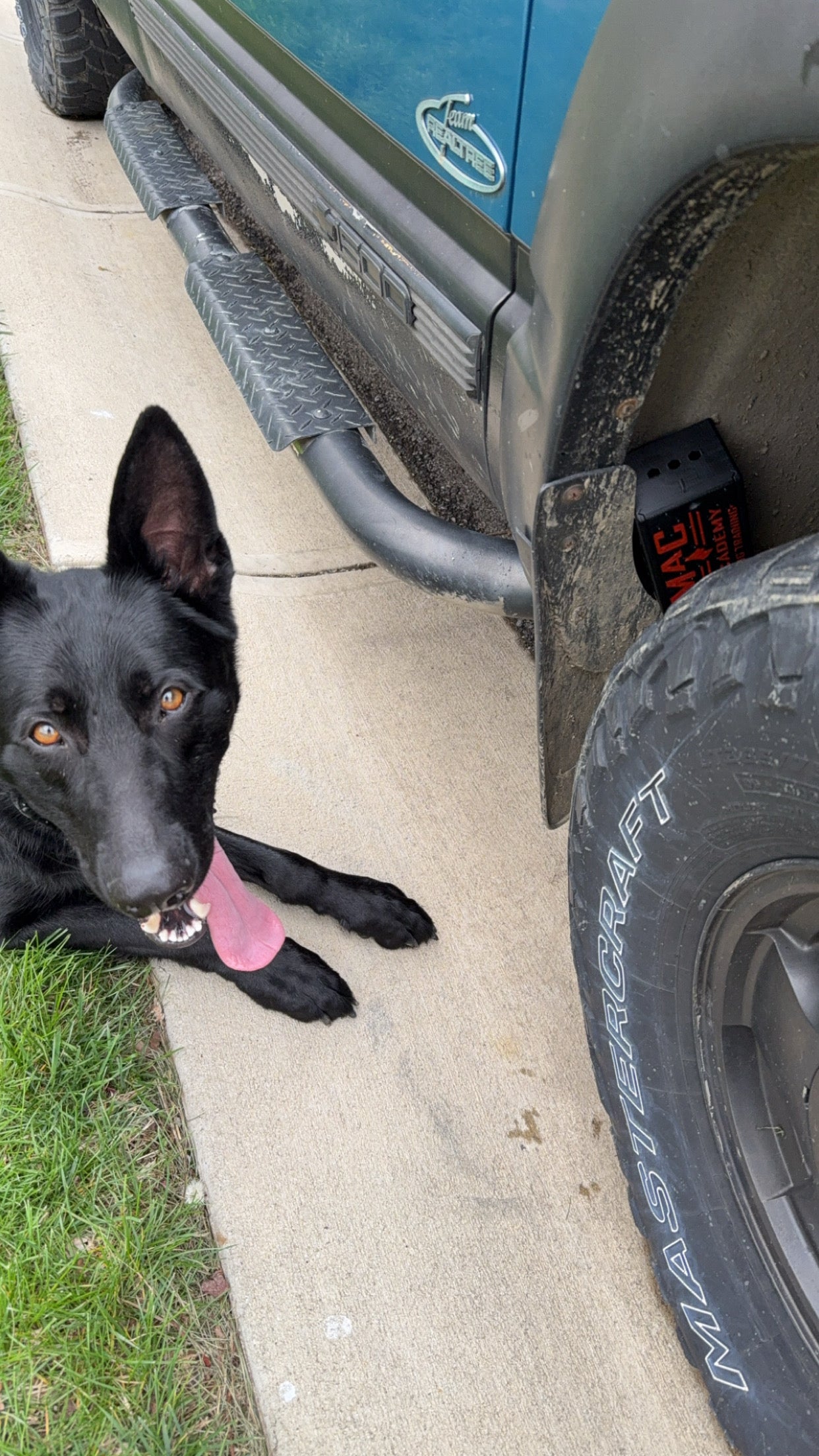 K-9 Scent Training Boxes, Custom.