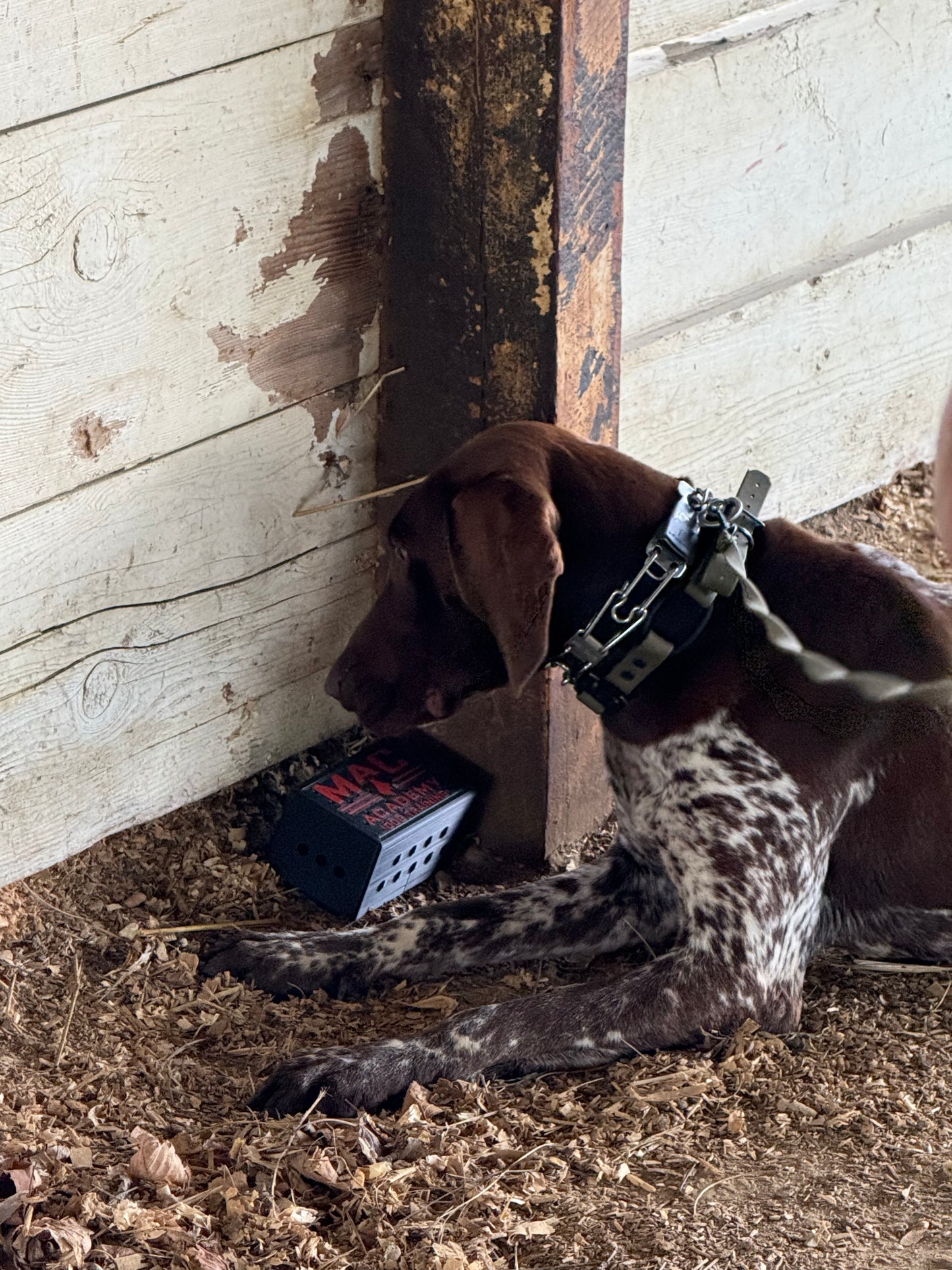 K-9 Scent Training Boxes, Custom.