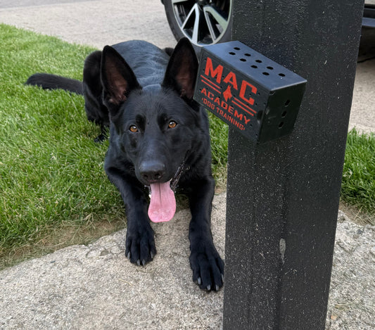 K-9 Scent Training Boxes, Custom.